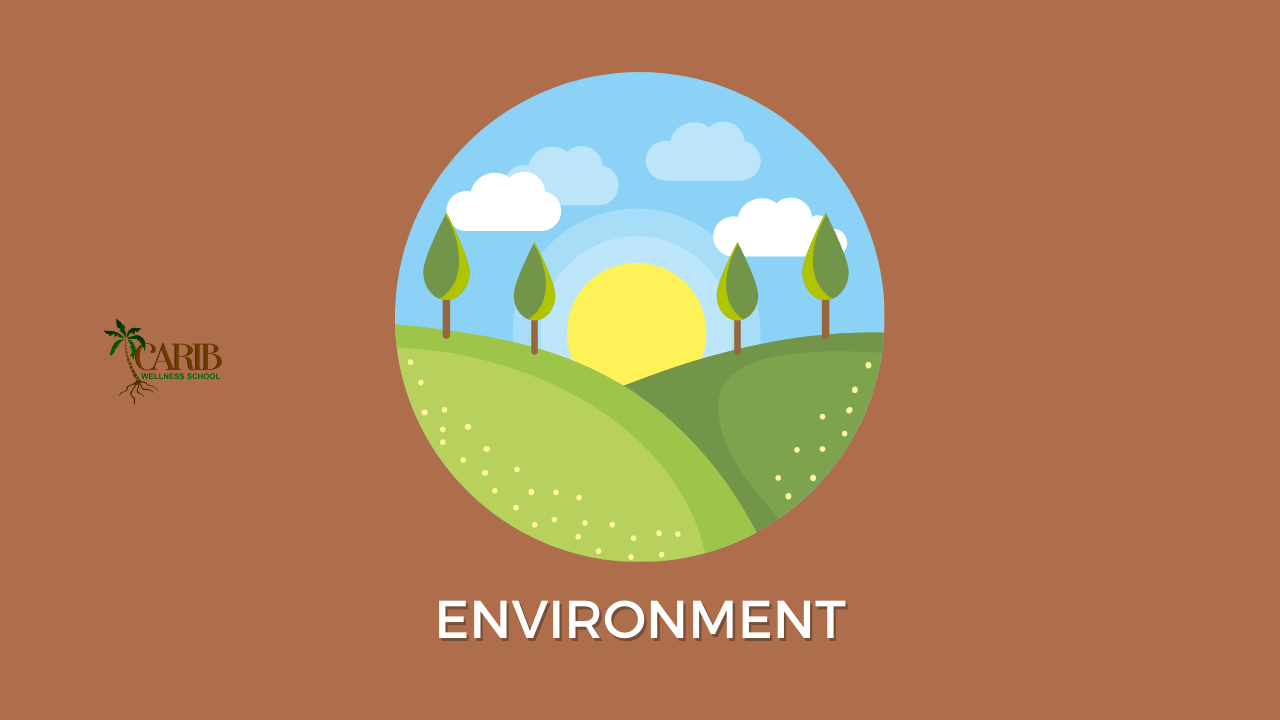 5th Pillar of Wellness: ENVIRONMENT