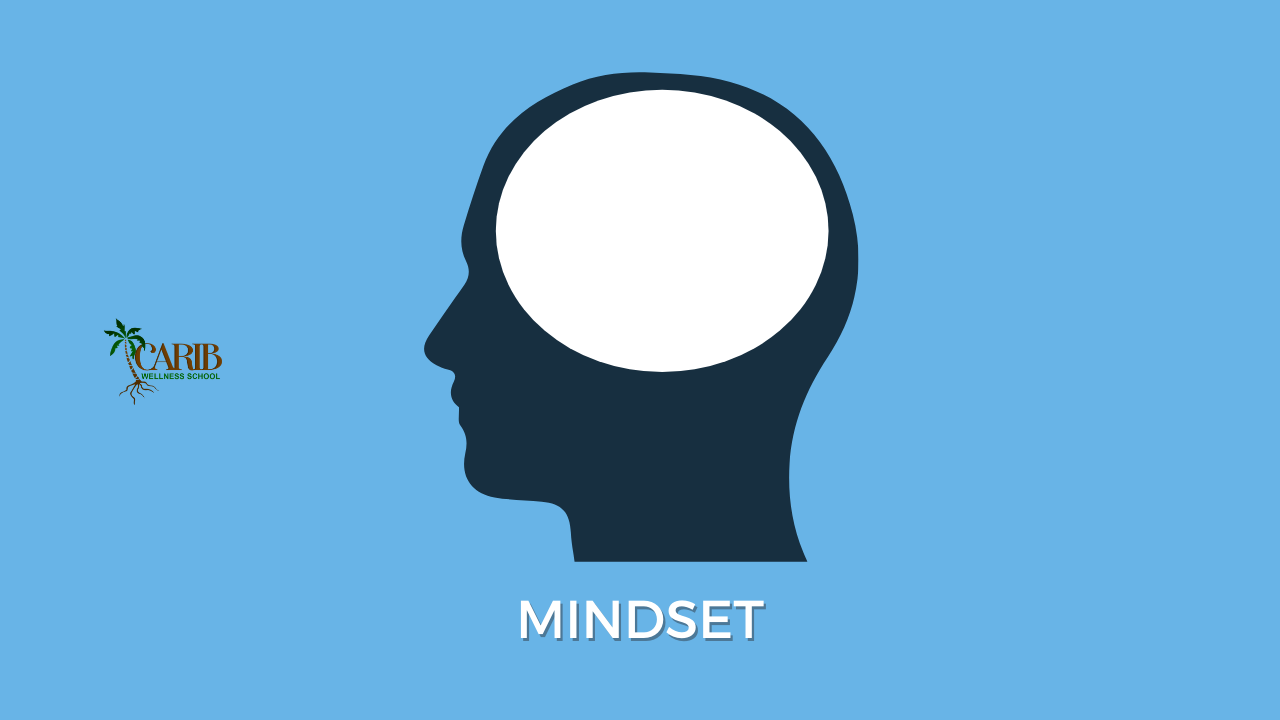 2nd Pillar of Wellness: MINDSET